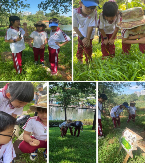 环境调查与科普课程之动物园