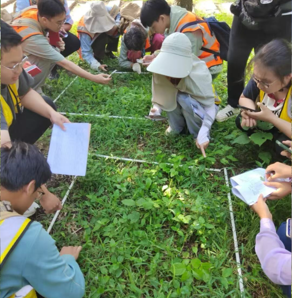 植物群落调查实践课程